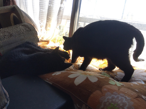 IMG_2026-04-08-13-05-49-690c