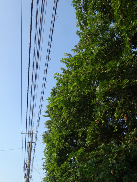DSC01054l
