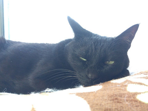 IMG_2026-04-11-07-31-21-781c