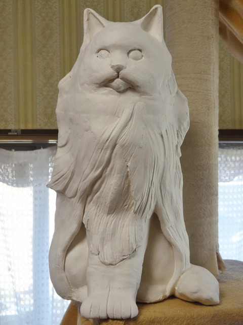 DSC06053k