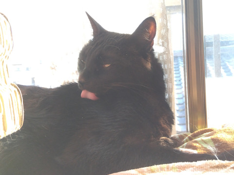 IMG_2026-02-12-15-22-44-392c