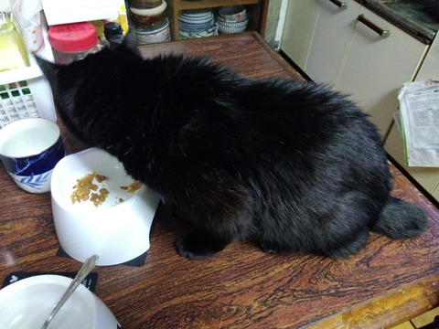 IMG_2026-04-16-05-34-17-207c