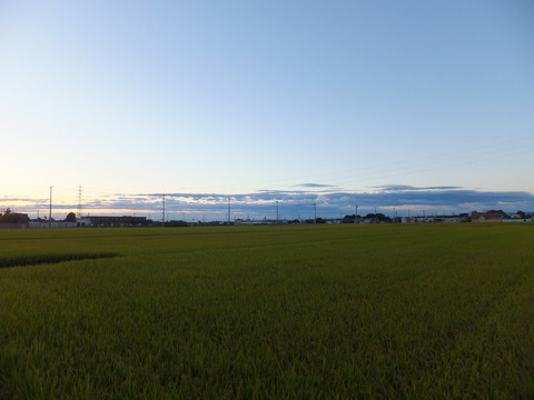 DSCF1839a