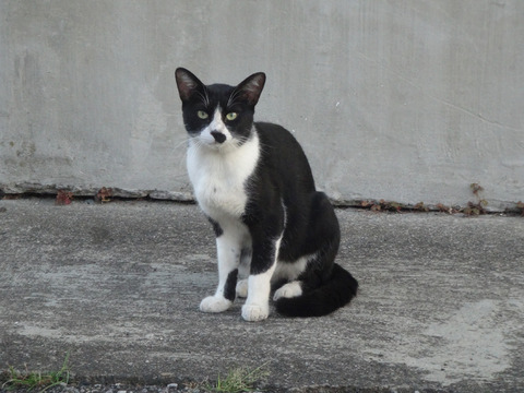 DSC01416l