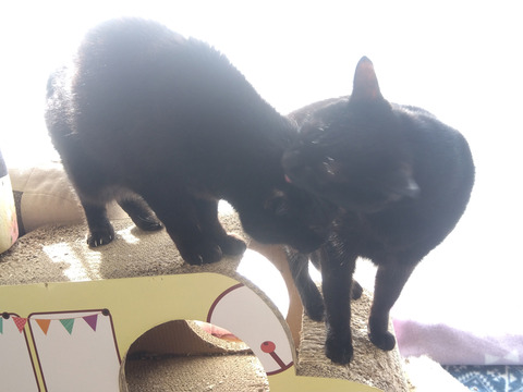 IMG_2024-02-27-09-20-31-678a