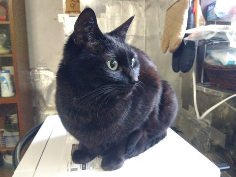 IMG_2026-04-14-07-18-33-837c