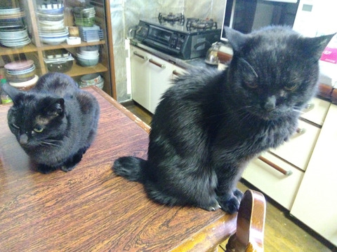 IMG_2026-04-10-07-41-05-007c