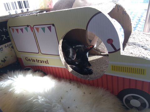 IMG_2024-02-28-14-49-14-275a