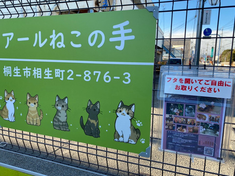 S__19537927i
