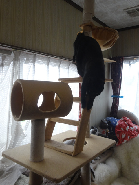 DSC09739k