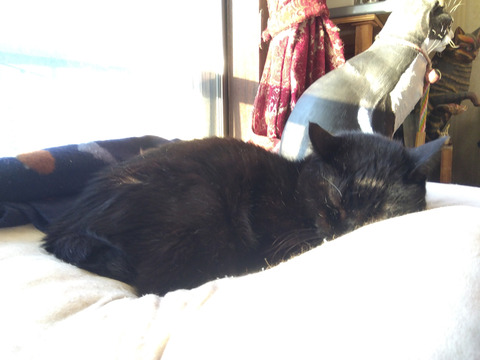 IMG_2025-12-30-07-44-42-390c