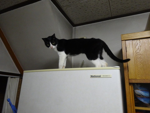 DSC09730