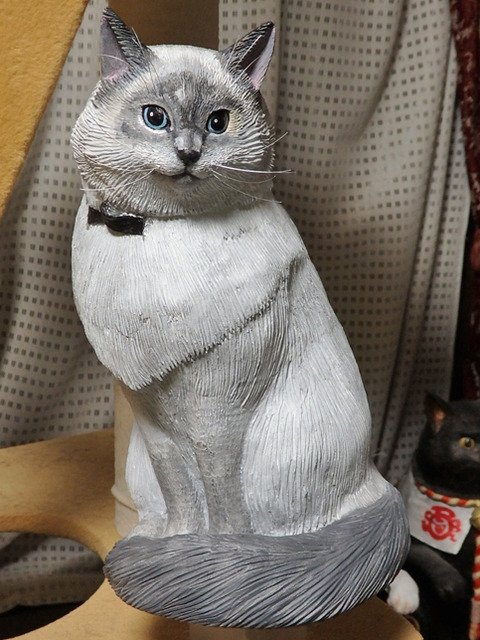 PB212168h