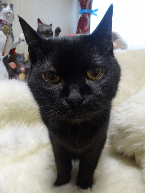 DSC09042k