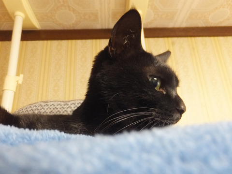 DSCF9857a