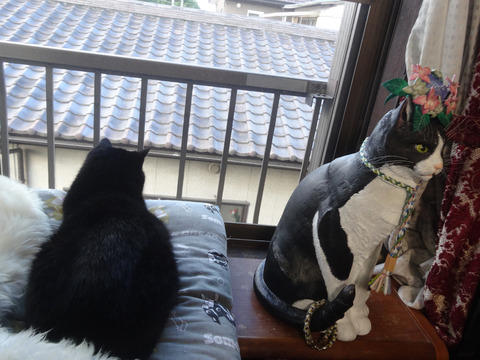 DSC00028k