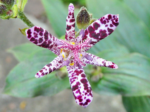 P9207034h