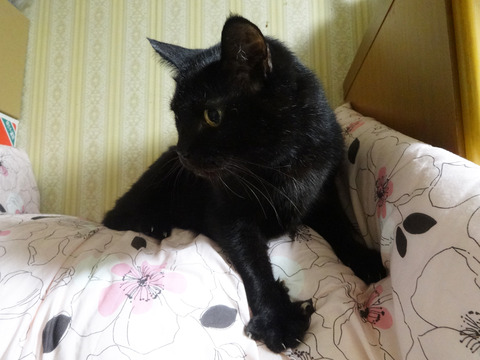 DSC00907j