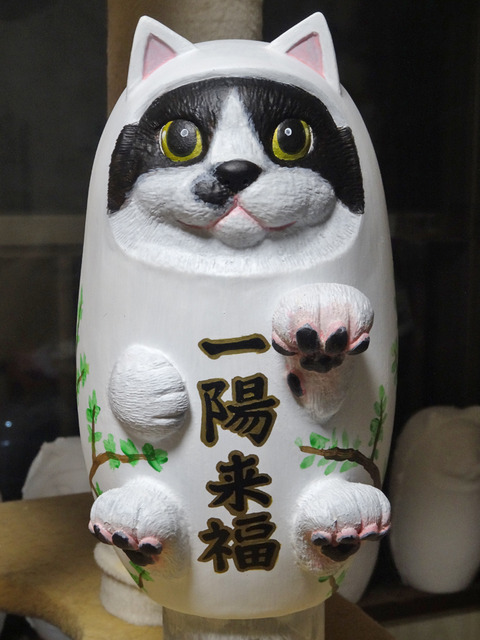 DSC06021i