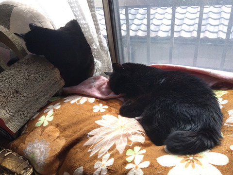 IMG_2026-02-27-12-58-42-129c