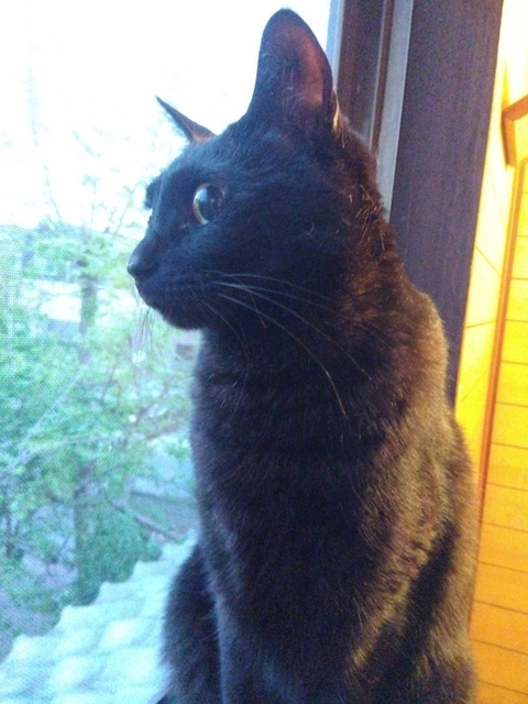 IMG_2026-04-15-05-19-54-894c