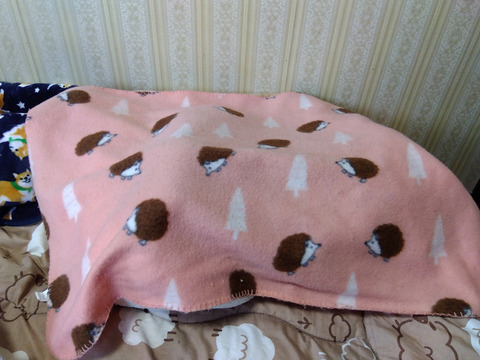 IMG_2026-04-14-07-10-53-392c