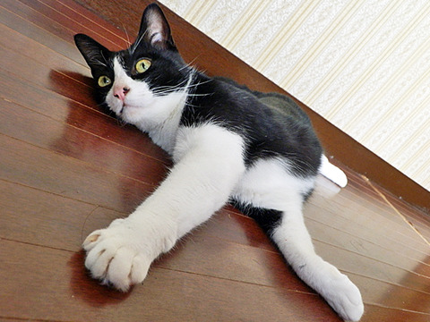 0 とひろ床ベッタリ