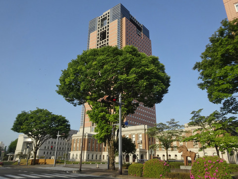 DSC08941k