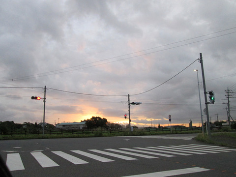 IMG_4203b