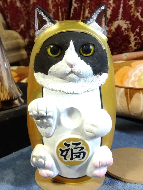 IMG_2026-03-09-20-40-37-616c