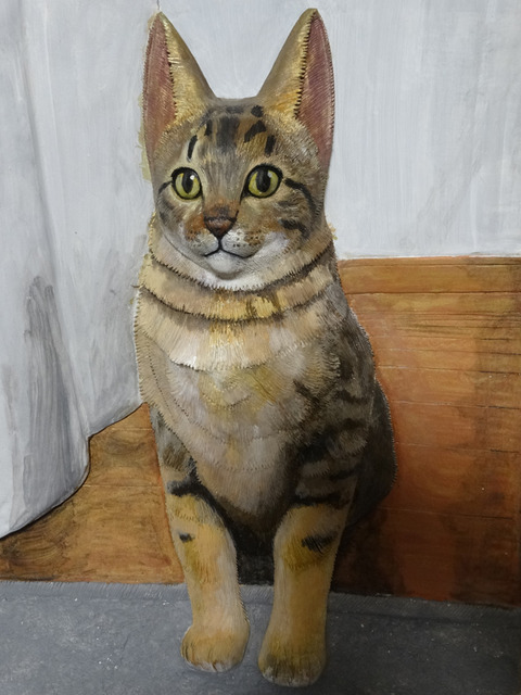 DSC06319i