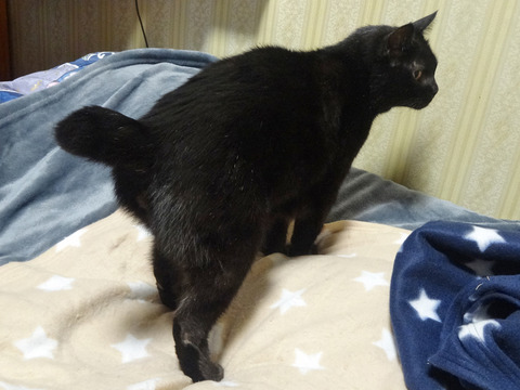 DSC03044j
