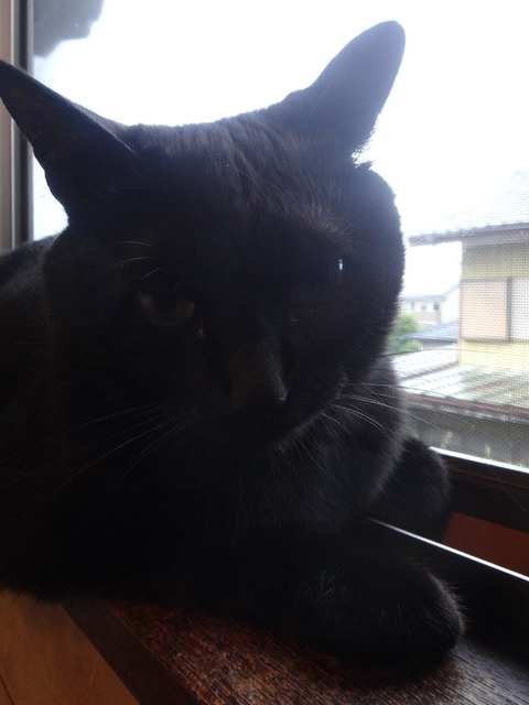 DSC00799l