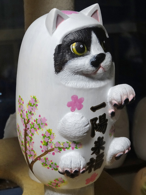 DSC06091i