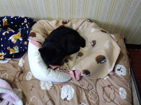 IMG_2026-04-14-07-10-27-c