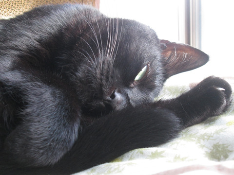 IMG_8303b