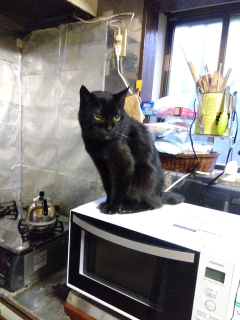 IMG_2026-04-15-05-43-52-309c