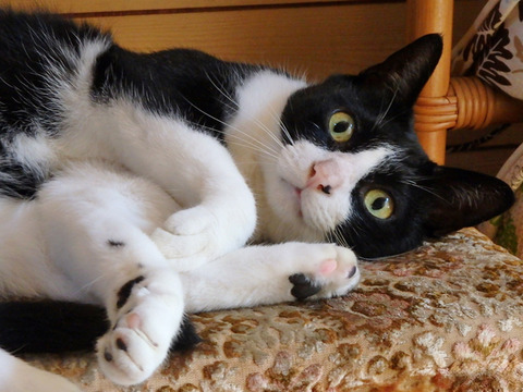 0ねっころとひろ2