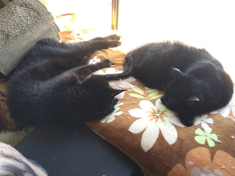 IMG_2026-04-08-13-04-44-098c