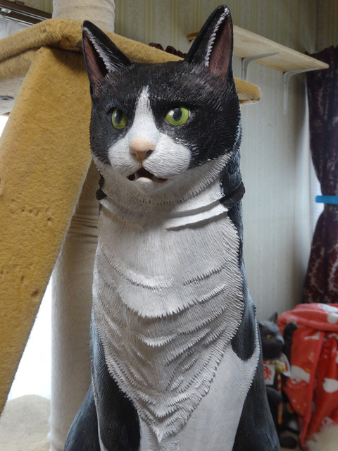 DSC09075k
