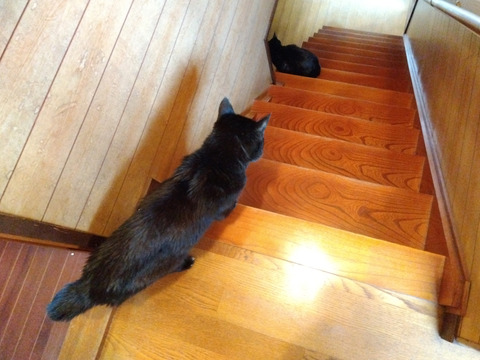 IMG_2026-04-10-07-26-10-600c