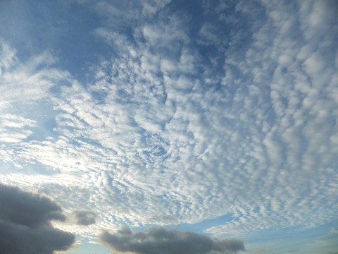 DSCF0173a