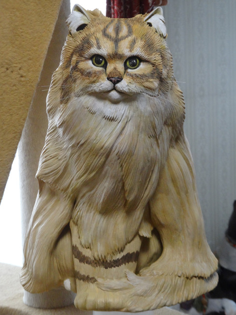 DSC08017k