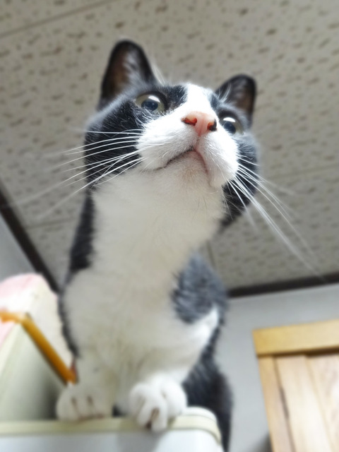 0 とひろボケ感