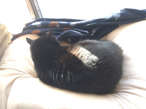 IMG_2025-12-31-08-15-09-225c