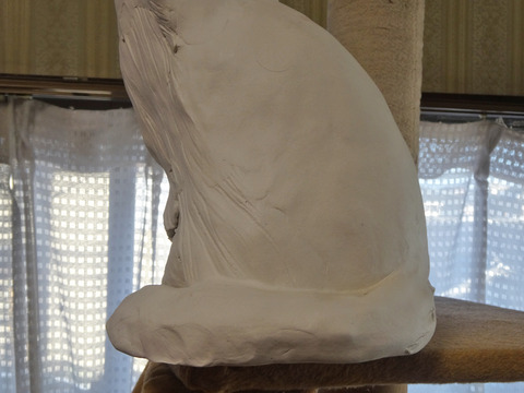 DSC06054k