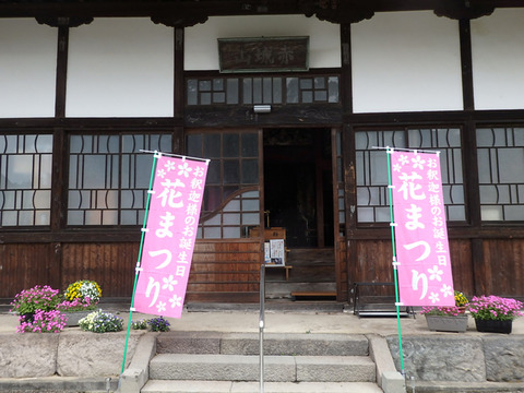 P4205478i