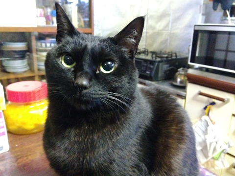 IMG_2026-03-11-06-32-55-132c