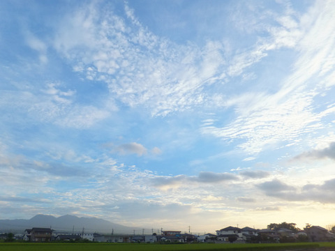 DSCF0166a