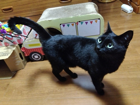 IMG_2025-07-31-05-40-06-299c